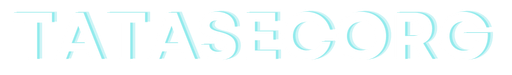 tatasecorg.com